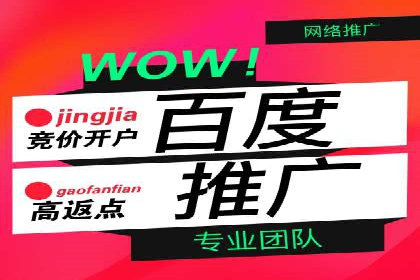 百度推广平台案例集锦：热门广告策略解析